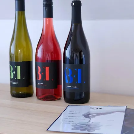 Διαμέρισμα Tron 2 *